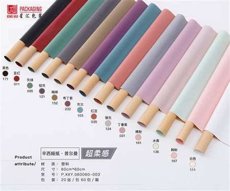 辛西娅纸-普尔曼